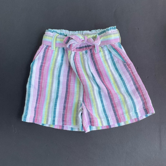 Striped Multicolor Shorts - Picture 1 of 5
